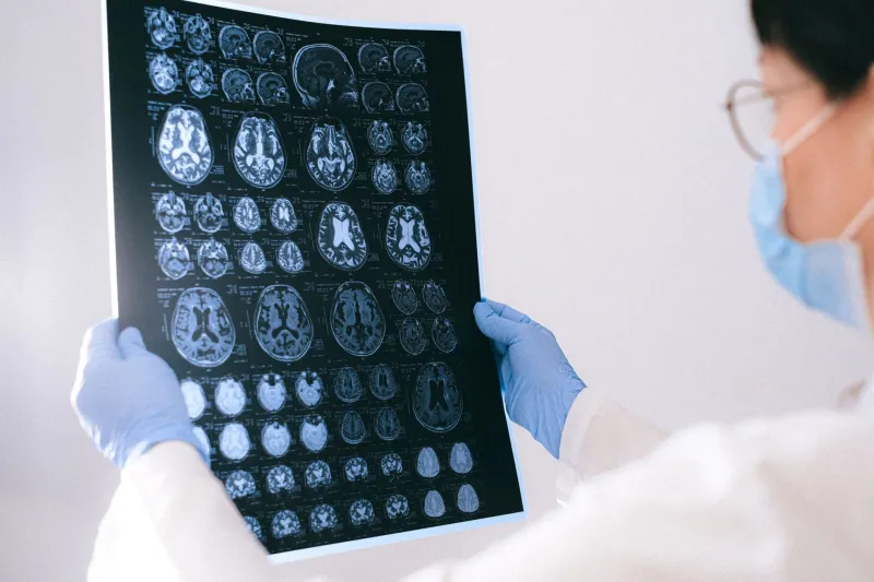 We Debunked the Left Brain / Right Brain Myth — Then Replaced It With Another One
