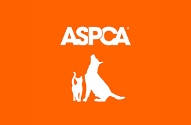 American Society for the Prevention of Cruelty to Animals